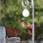 Family Friendly Apartments With A Swimming Pool Sumber, Central Istria - Sredisnja Istra - 7332